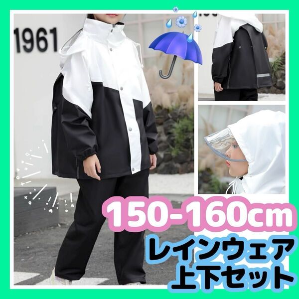 レインウェア レインコート キッズ 160cm 150cm 白 黒 男女兼用 セパレート フード付き 上下セット 袋付き カッパ