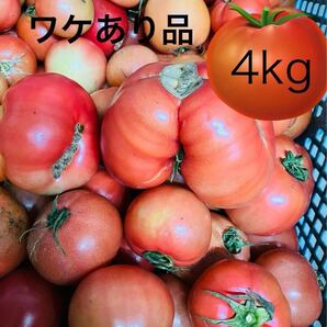 熊本八代のトマト ワケあり品4kg