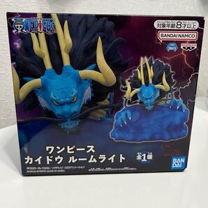 ワンピースカイドウ ルームライト