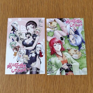 非売品イラストカード2枚セット「塔の管理をしてみよう」盧恩&雪笠(FriendlyLand) 早秋 雨神B