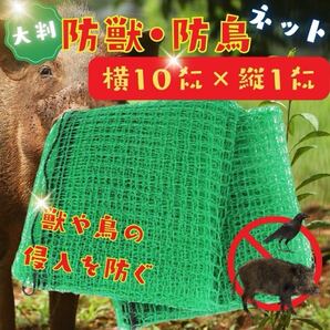 【新品:大判!】防獣 ネット 10m 防鳥 からすよけ 農園 対策 いのしし アニマルネット