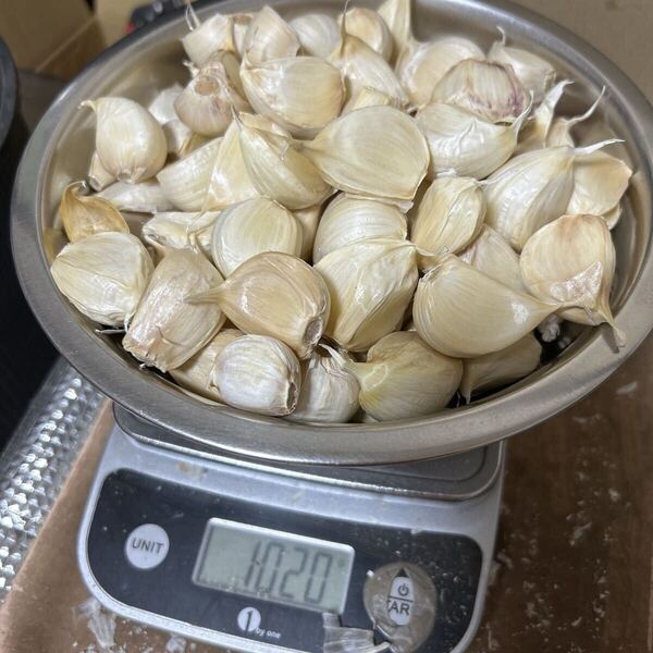 バラにんにく1キロ 青森県産にんにく 国産にんにく ホワイト六片種にんにく 大小粒混合 バラにんにく