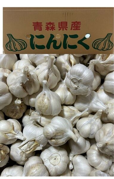 にんにく 訳ありMサイズ2キロ 青森県産 ホワイト六片種にんにく 国産にんにく 青森県産 ニンニク にんにく 青森県産にんにく