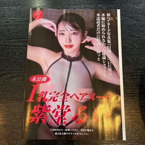 フライデーFRIDAY スクープ袋とじカラー8P 紫堂るい グラビア