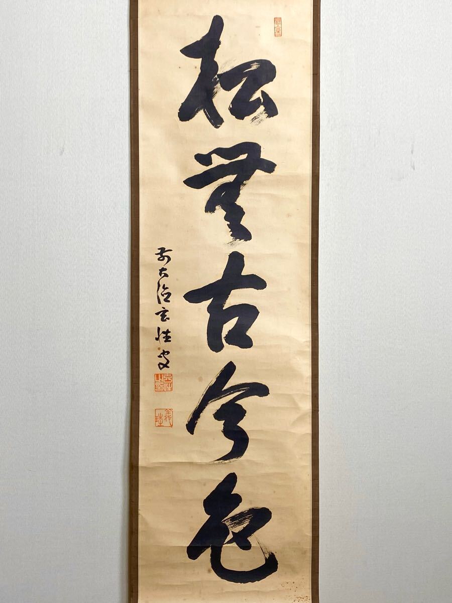 作者不詳/松無古今色/掛軸/名家伝来/K-223 J 作者不詳/松無古今色/掛軸/名家伝来/K-223 J 2025年最新】Yahoo!