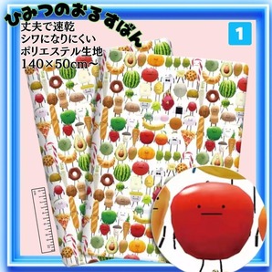 ひみつのおるすばん 生地 ① 布 はぎれ 手芸 バッグ 入学 グッズ 入園 素材 ロブロックス Roblox