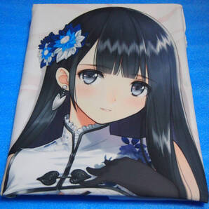 【正規品・中古】瓶児 抱き枕カバー T2 ART WORKS