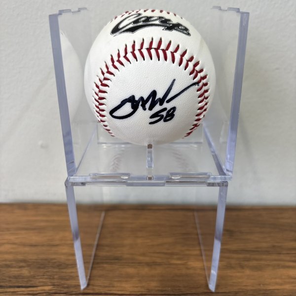 2025年最新】Yahoo!オークション -カープ サイン ボールの中古品