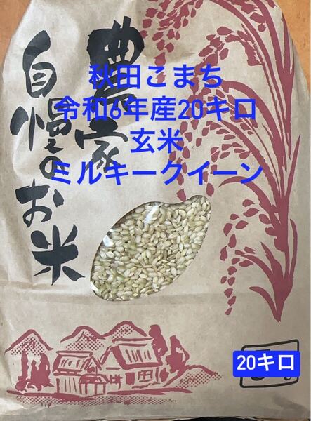 秋田こまち令和6年産20キロミルキークイーン玄米 自然農法 農薬無し 除草剤無し
