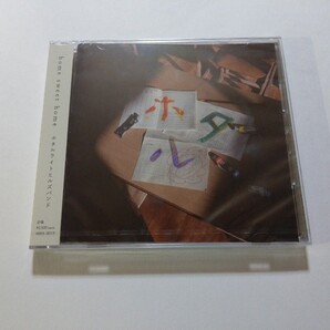 CD ホタルライトヒルズバンド【home sweet home】 未開封