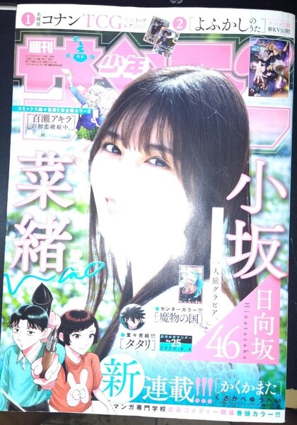 週刊少年サンデー 2025年6月4日号 (小学館) 巻頭グラビア小坂菜緒 (日向坂46)