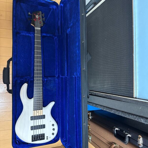 Elrick Expat eVolution 5-String ベース 5弦 エレキベース BASS
