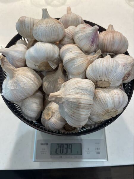 乾燥にんにく 約2kg 千葉県産 無農薬 有機栽培