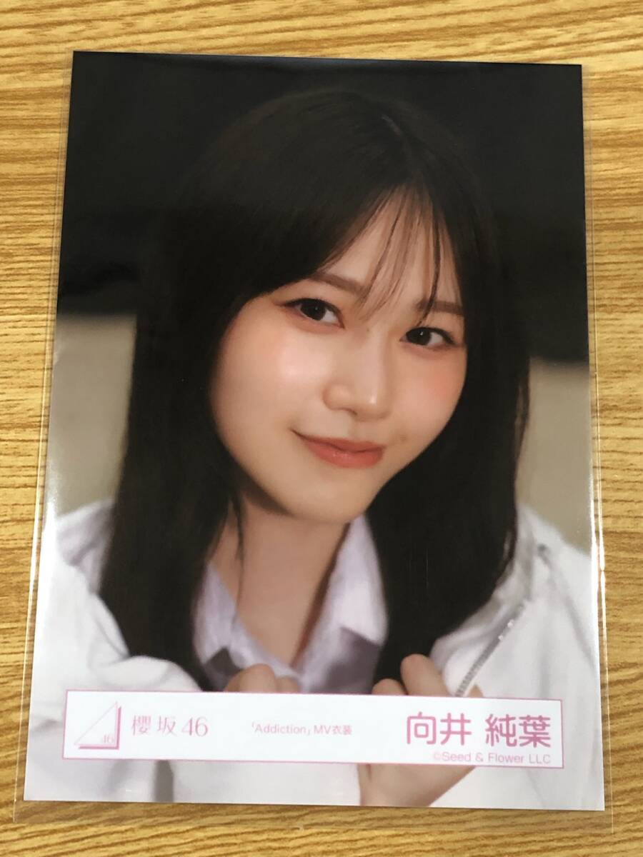 2025年最新】Yahoo!オークション -向井純葉 生写真の中古品