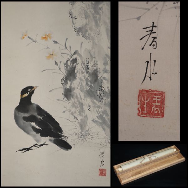 【真作】掛軸 永田春水 葡萄に栗鼠図 花鳥画 淡彩 逸品 合箱入 R149 Yahoo!オークション -「永田春水」の落札相場・落札価格