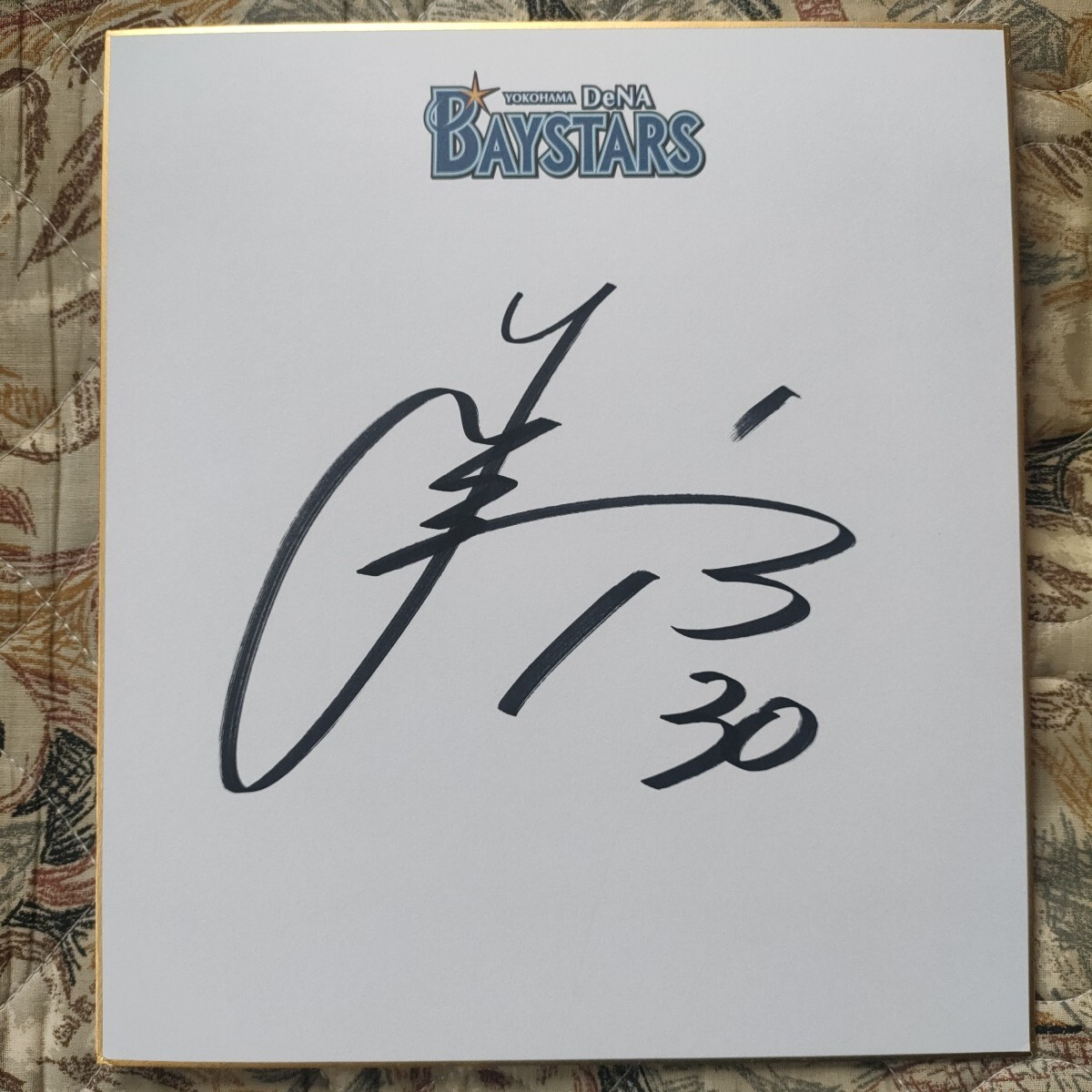 Yahoo!オークション - 横浜 DeNA ベイスターズ 中川 颯 #53 直筆