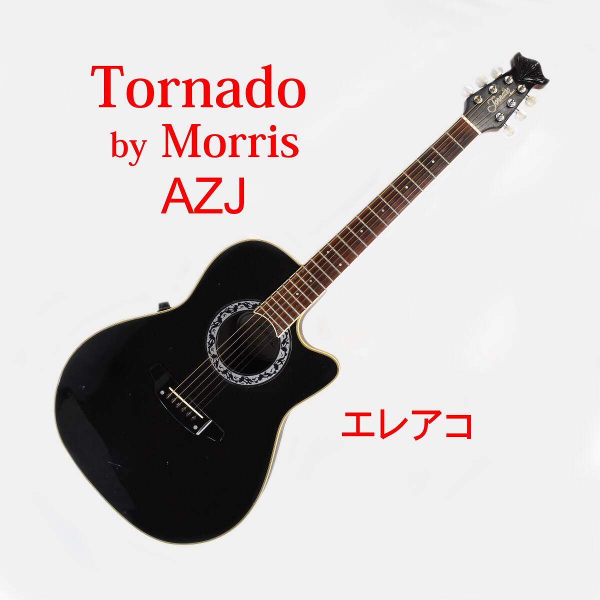Morris Tornado X Acoustic Guitar Made in Japan