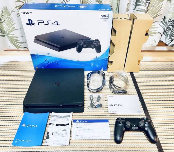 SONY PlayStation4 PS4 本体 CUH-2000A コントローラーセット FW 10.00