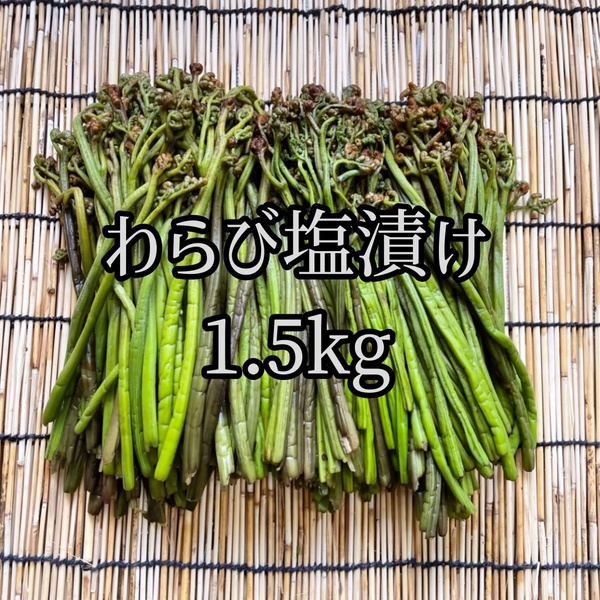 山形県産わらび塩漬け1.5kg 山菜