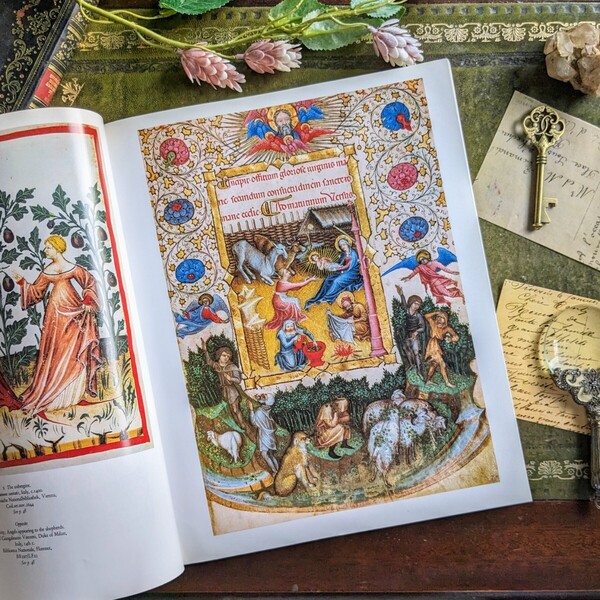思わず息をのむ美しい挿絵多数!挿絵の歴史のヴィンテージ本 古書洋書