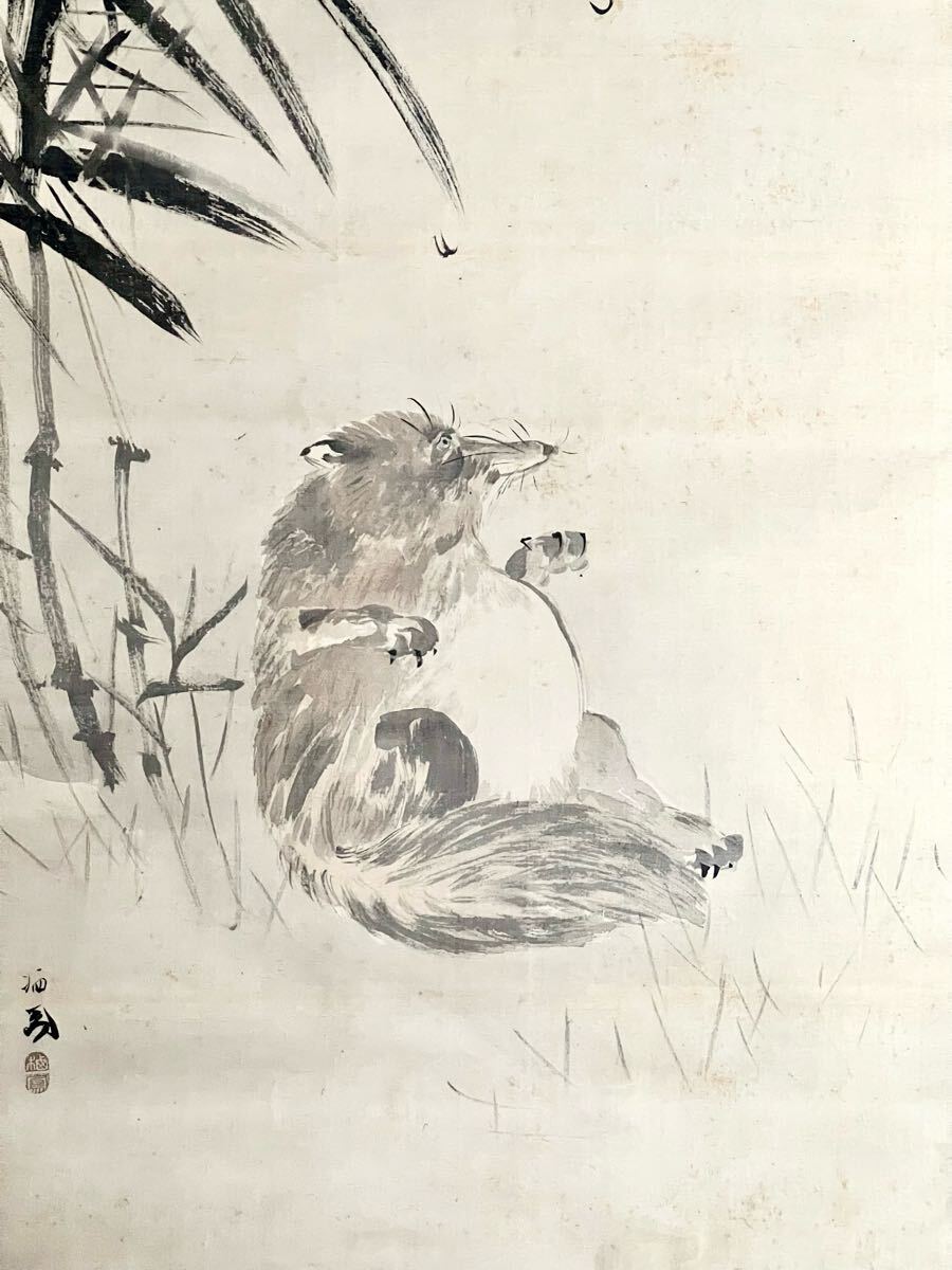 Yahoo!オークション -「タヌキ」(日本画) (絵画)の落札相場