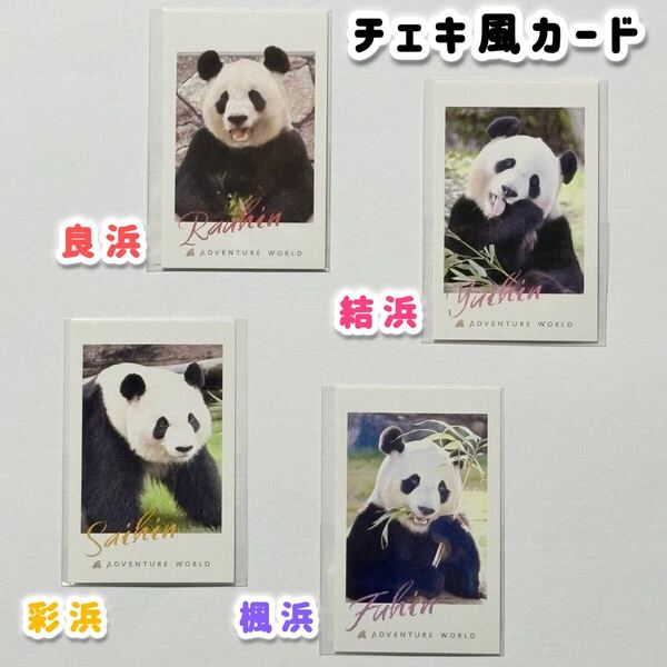 アドベンチャーワールド パンダファミリー チェキ風カード 松坂屋上野店先行販売/浜家 良浜 結浜 彩浜 楓浜 ジャイアントパンダ アドベン