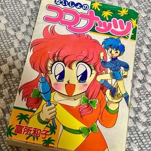 ないしょのココナッツ 富所和子