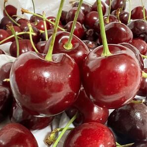 9.5r超大粒アメリカンチェリー500g 母の日 父の日 中元 家庭用 数量限定 ポスト投函 車厘子 美國櫻桃 さくらんぼ