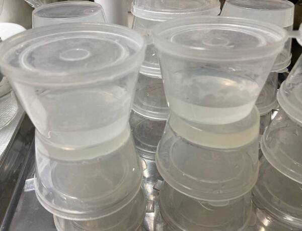 ハイポネックス培地セット 京都寒天培地 無菌播種 組織培養 自由研究 水草 チランジア ジュエルオーキッド サボテン 多肉植物 エケベリア
