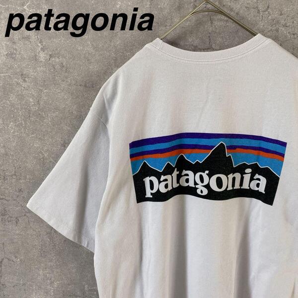 patagonia Tシャツ 半袖 バックプリント Sメンズ 白