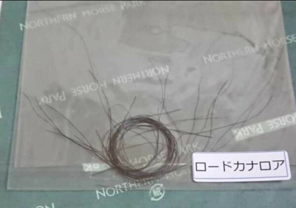 ロードカナロア たてがみ 一本 鬣 ウマ娘 風水 御守り 金運 アーモンドアイ 非売品 チャリティー