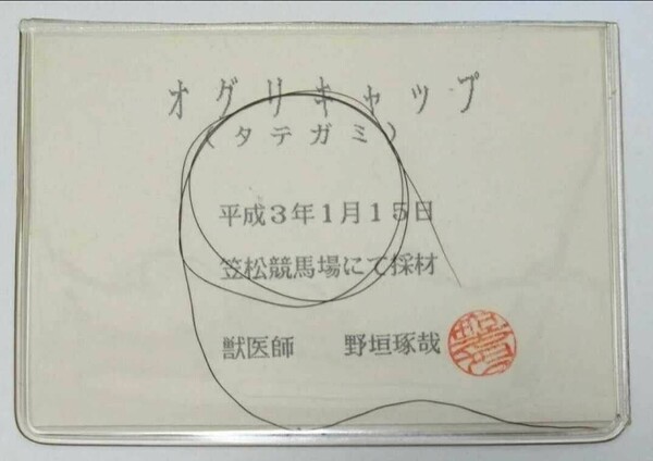 オグリキャップ 一本 たてがみ 非売品 チャリティー ウマ娘 風水 御守り 競馬 当選品