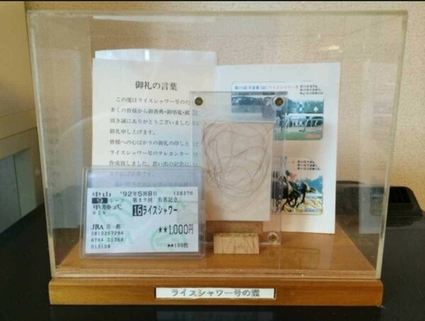 ライスシャワー 一本 たてがみ 非売品 チャリティー ウマ娘 風水 御守り 競馬 当選品 鬣