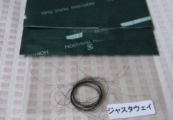 ジャスタウェイ 一本 たてがみ 社台 ノーザンファーム ウマ娘 福袋 風水 御守り 競馬 非売品 ヤマニンウルス