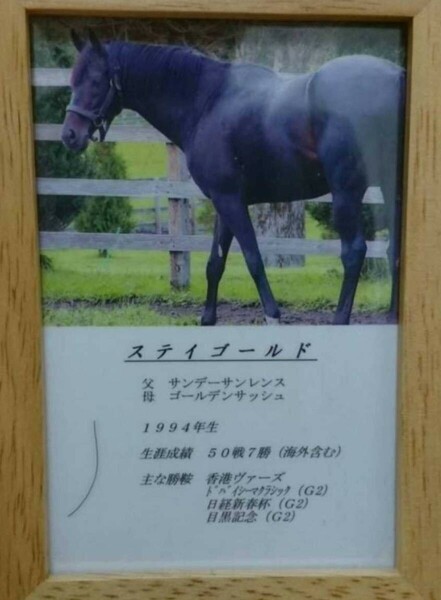 ステイゴールド 一本 たてがみ 非売品 チャリティー ウマ娘 風水 御守り 競馬 当選品 オルフェーヴル ゴールドシップ 父