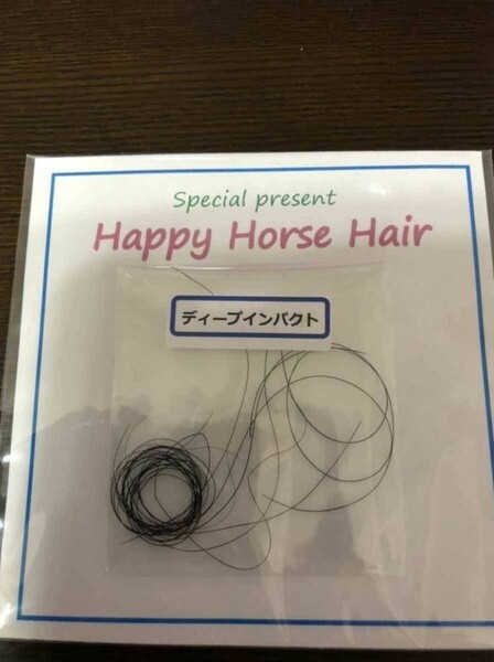 ディープインパクト たてがみ 一本 鬣 非売品 当選品 ウマ娘 風水 御守り 武豊 ダービー チャリティー 本物 送料無料