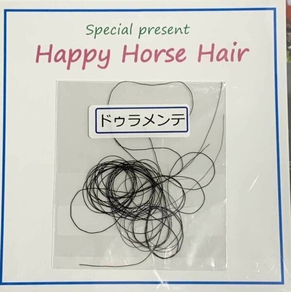 ドゥラメンテ 一本 たてがみ 社台 ノーザンファーム ウマ娘 風水 御守り 競馬 非売品 タイトルホルダー リバティアイランド