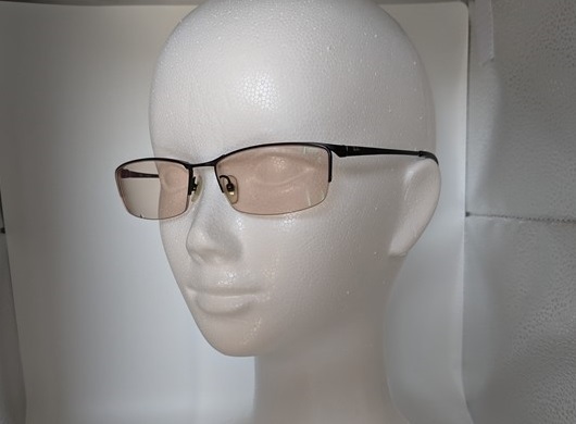 レイバン / Ray-Ban チタンメガネフレーム TITANIUM RB8698 1119 55□16 140 RayBan 中古・現状・即決・送料無料 管理№ 8365