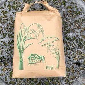 令和6年度産 京都丹波産 コシヒカリ 玄米 5kg (精米可) 美味しいお米
