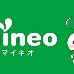 マイネオ パケットギフト 10GB (9999MB) h mineo