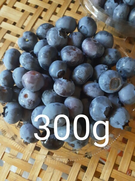 信州産 ブルーベリー 自然栽培 露地栽培 農薬化学肥料不使用 300g