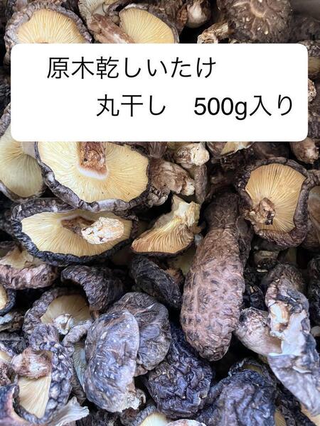 原木乾燥椎茸、丸干し(500g)