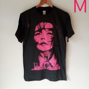 ビョーク Bjork 歌姫 俳優 バンドTシャツ(M)D13
