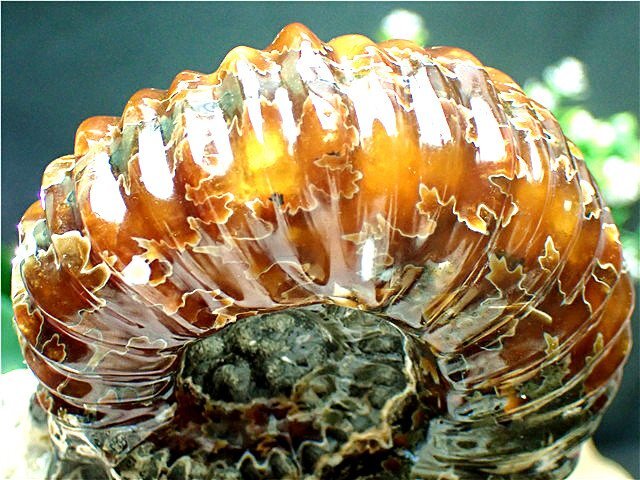 ★貴重－アンモナイト縫合線オパール化石鉱物標本B85U3/338U26B Yahoo!オークション - 貴重－アンモナイト縫合線オパール化石