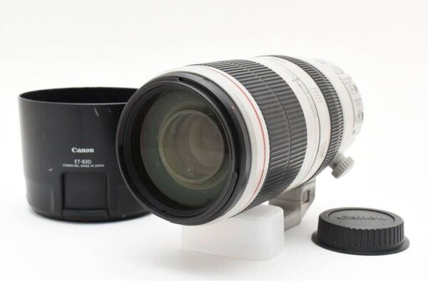 Canon EF100-400mm F4.5-5.6 L IS Ⅱ USM