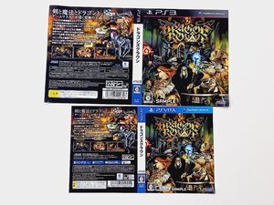 新春セール!ダミージャケット ドラゴンズクラウン PS3・VITA 店頭用 2枚セット