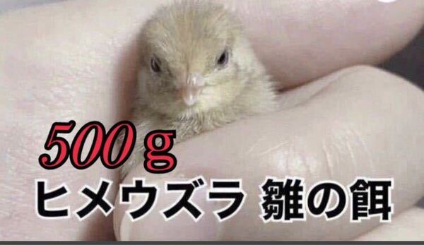 500g ヒメウズラ餌 雛用 ヒメウズラ ヒナ うずら 餌 ひめうずら 鳥 姫鶉(商品説明必読)