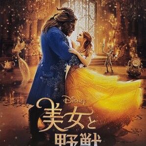 中古DVD 美女と野獣
