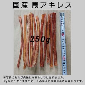 国産馬アキレス ミディアム 250g