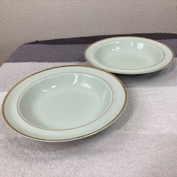 【たち吉】カレー皿 2枚セット アダム&イヴ 未使用 美品 緑 スープ皿 パスタ adam&eve tachikichi シチュー